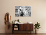 Highland Cow Staring Contest  | 24x36 | Glass Plaque