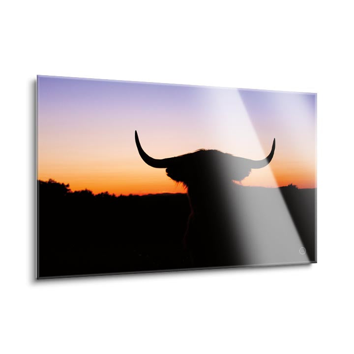 Bull Set  | 24x36 | Glass Plaque