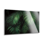 Tropical Canopies  | 24x36 | Glass Plaque