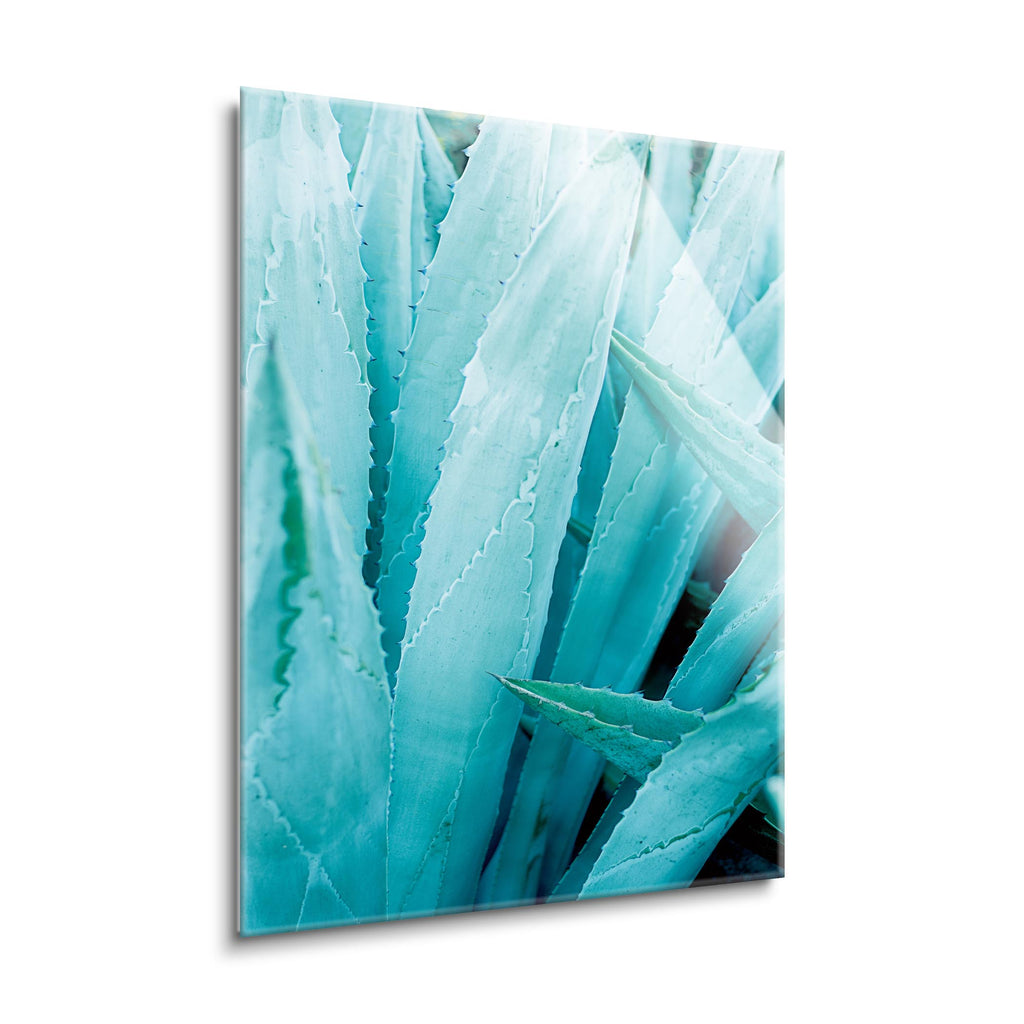 Abstract Agava I Color | 24x36 | Glass Plaque