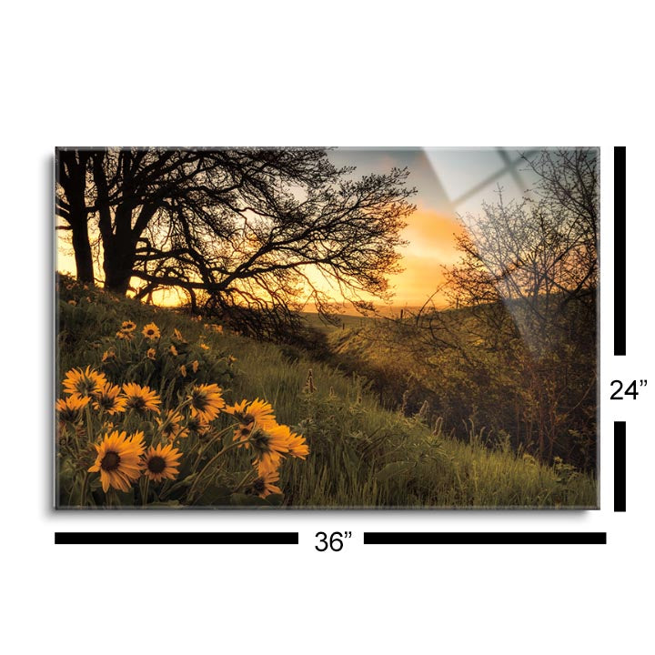 Sunrise Silhouette  | 24x36 | Glass Plaque