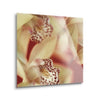 Cymbidium Flow I (orchid I)  | 12x12 | Glass Plaque
