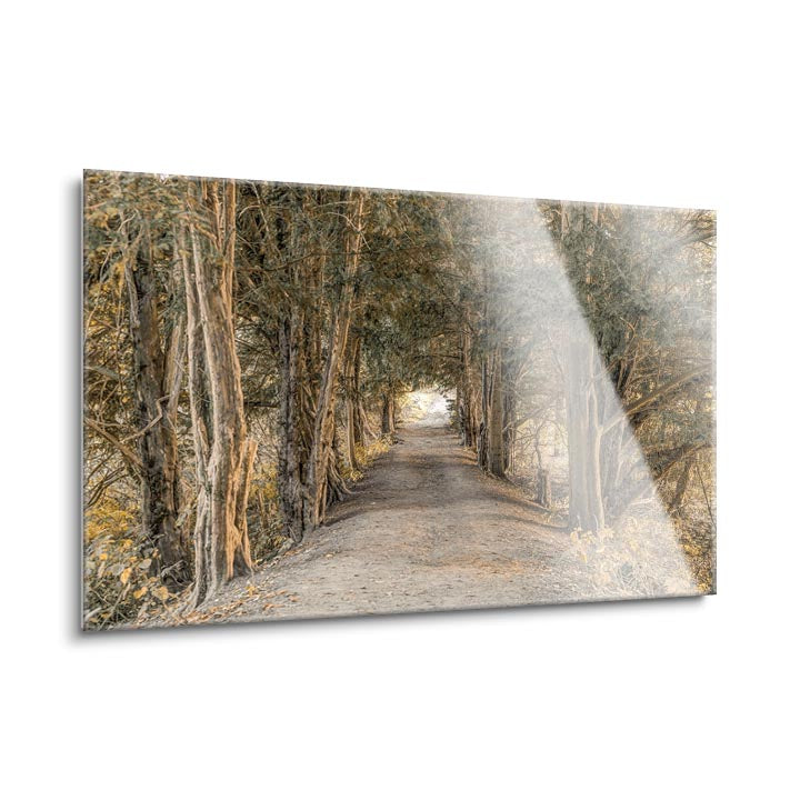 Autumn Forest  | 24x36 | Glass Plaque