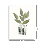 Herb Garden III  | 12x16 | Glass Plaque