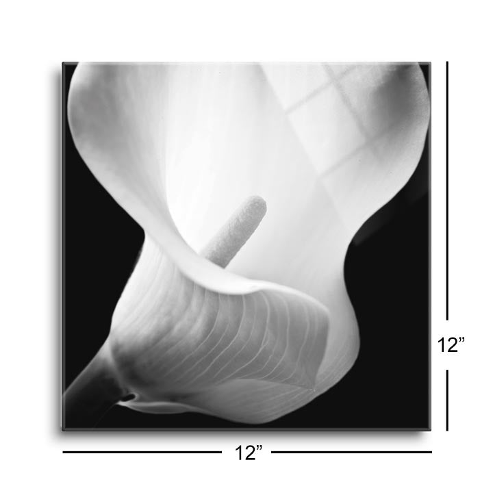 Softness I  | 12x12 | Glass Plaque