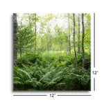 Woodlands  | 12x12 | Glass Plaque