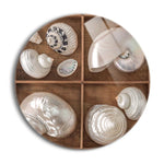 Seashells Treasures I  | 24x24 Circle | Glass Plaque