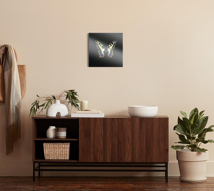 Butterfly on Black  | 12x12 | Glass Plaque