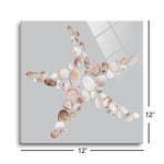 Starfish  | 12x12 | Glass Plaque