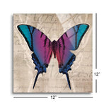 Butterflies IV  | 12x12 | Glass Plaque