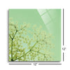 Cuckoo Flowers | 12x12 | Glass Plaque