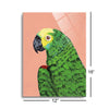 Parrot Head  | 12x16 | Glass Plaque