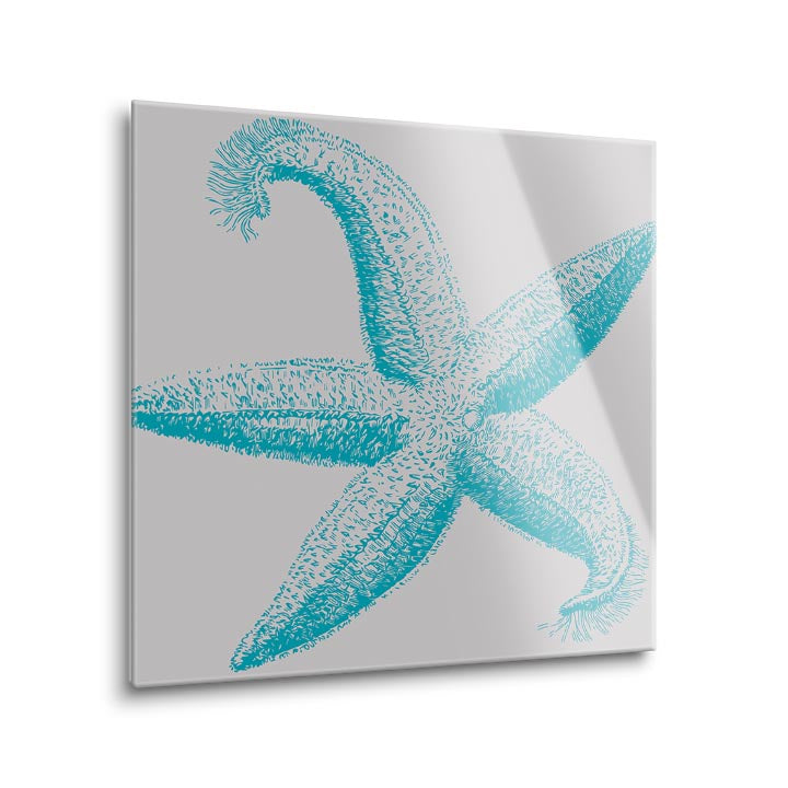 Sea Stars I  | 12x12 | Glass Plaque