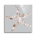 Starfish  | 12x12 | Glass Plaque