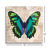 Butterflies II  | 12x12 | Glass Plaque