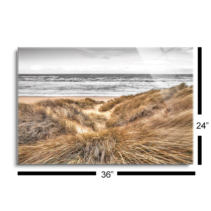 Beach Dunes  | 24x36 | Glass Plaque