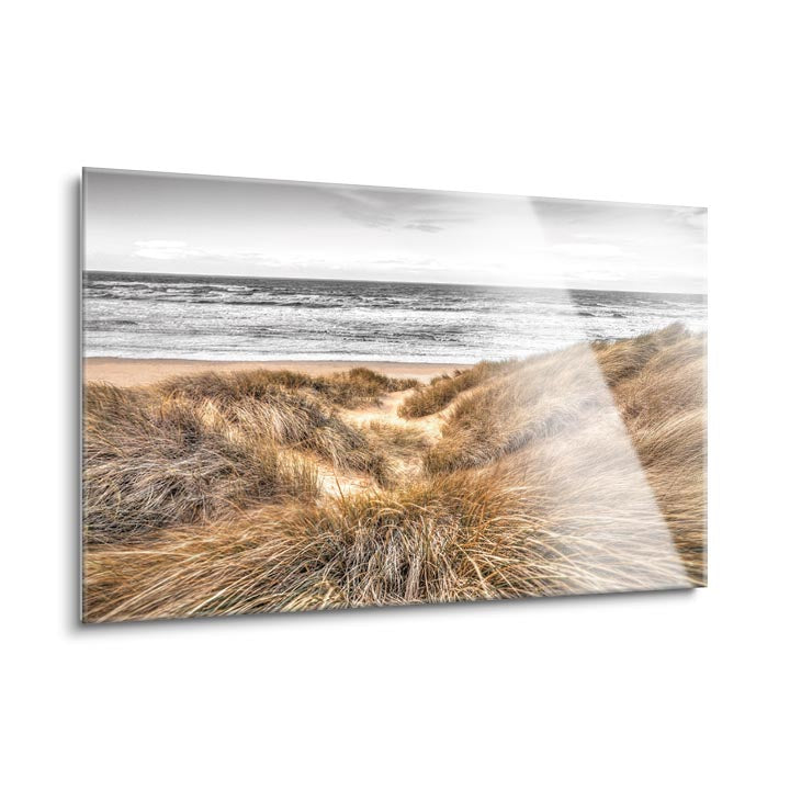 Beach Dunes  | 24x36 | Glass Plaque