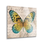 Butterflies I  | 12x12 | Glass Plaque