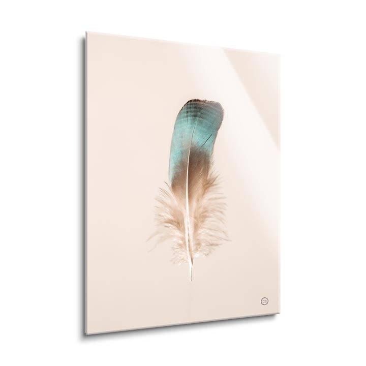 Floating Feathers IV  | 24x36 | Glass Plaque