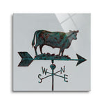 Rural Relic Cow  | 12x12 | Glass Plaque