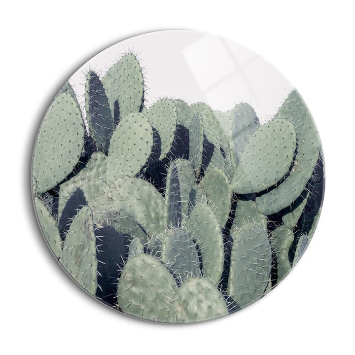 Cacti  | 24x24 Circle | Glass Plaque