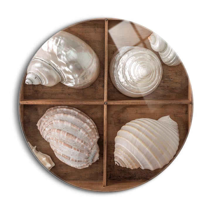 Seashells Treasures II  | 24x24 Circle | Glass Plaque