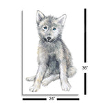 Baby Coyote  | 24x36 | Glass Plaque