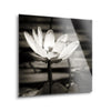 Lotus Flower VIII | 12x12 | Glass Plaque