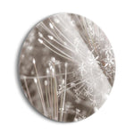 Silver Alliums  | 24x24 Circle | Glass Plaque