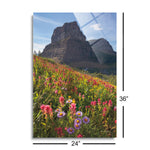 Boulder Pass Wildflowers | 24x36 | Glass Plaque