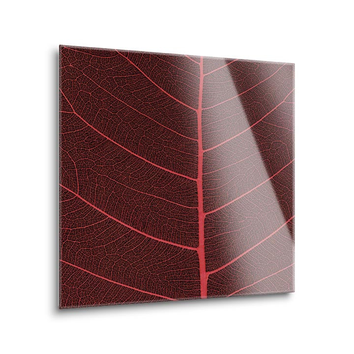 Bo Leaf II  | 12x12 | Glass Plaque