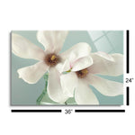 Magnolias  | 24x36 | Glass Plaque