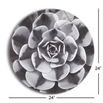 Natural Designs III  | 24x24 Circle | Glass Plaque