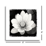 Lotus Flower II | 8x8 | Glass Plaque