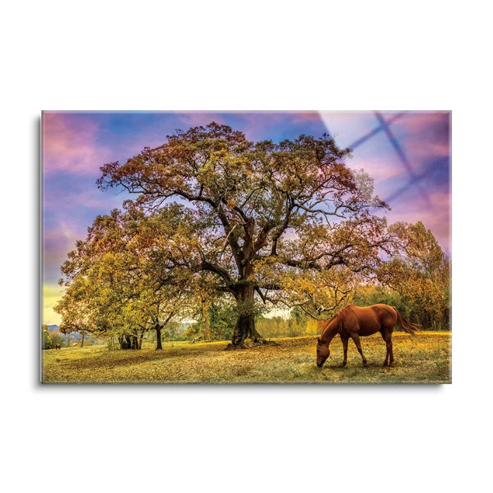 Under the Old Oak Tree  | 24x36 | Glass Plaque