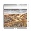 Beach Dunes  | 12x12 | Glass Plaque