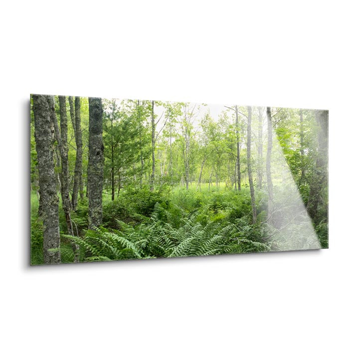 Woodlands  | 12x24 | Glass Plaque
