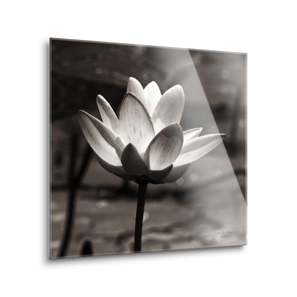 Lotus Flower VII Sq | 12x12 | Glass Plaque