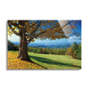 Blue Ridge Beauty  | 24x36 | Glass Plaque