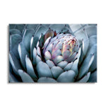 Blue Aloe  | 24x36 | Glass Plaque