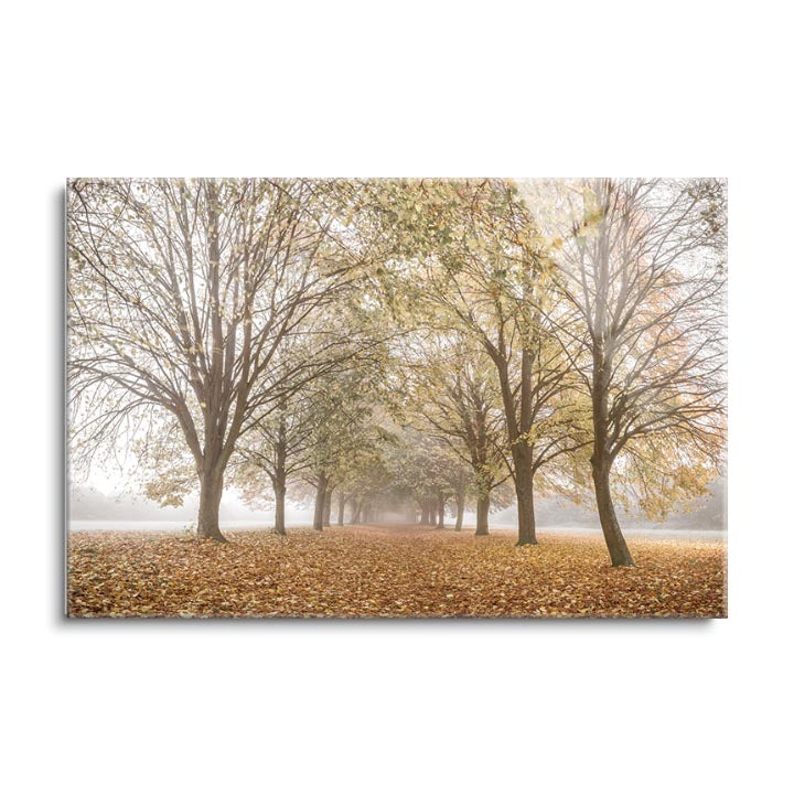 Autumn's Peace  | 24x36 | Glass Plaque
