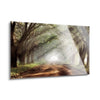 Evergreen Plantation  | 24x36 | Glass Plaque