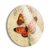 Vintage Orange Butterfly  | 24x24 Circle | Glass Plaque