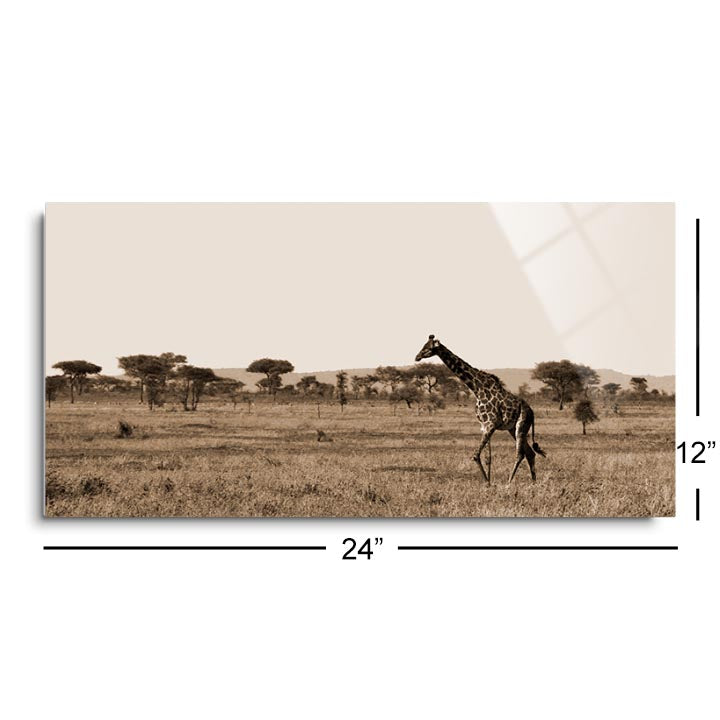 Serengeti Horizons II (5362 (trees w/ giraffe))  | 12x24 | Glass Plaque