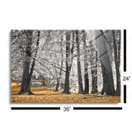 Autumn Tress and Leaves  | 24x36 | Glass Plaque