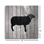 Barn Sheep  | 12x12 | Glass Plaque
