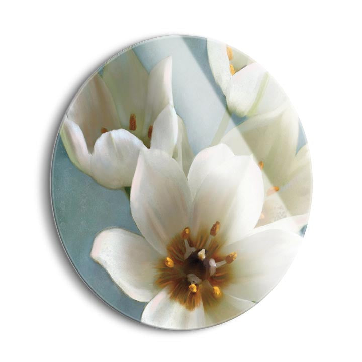 Lily Parfait II  | 24x24 Circle | Glass Plaque