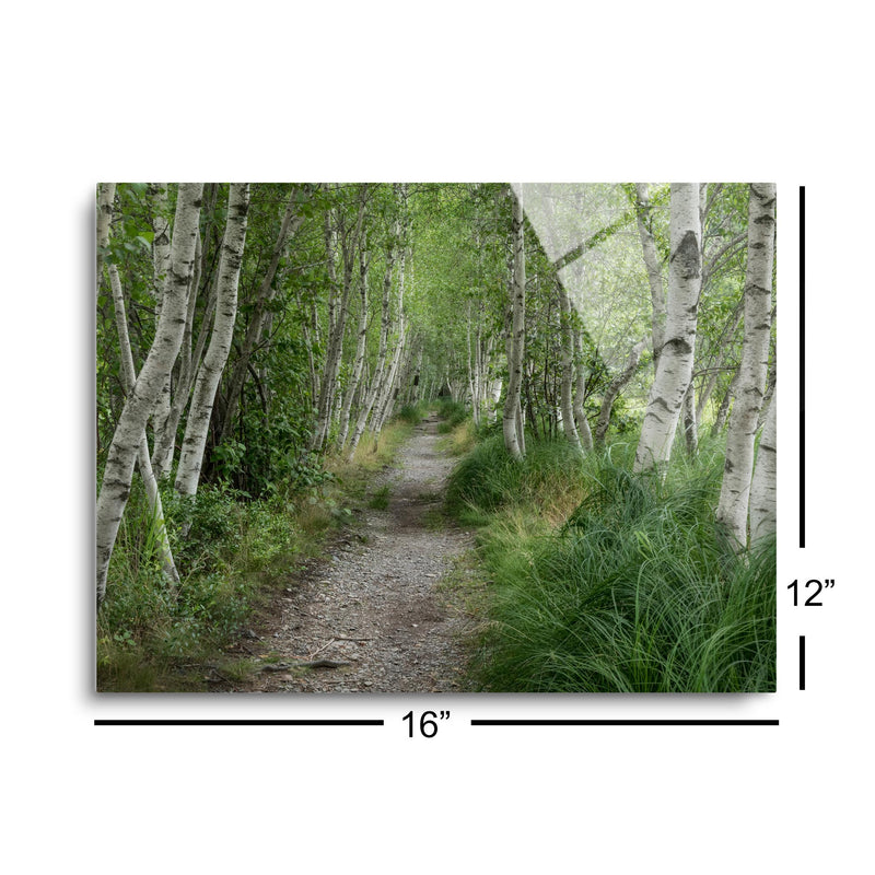 Summer Path III  | 12x16 | Glass Plaque