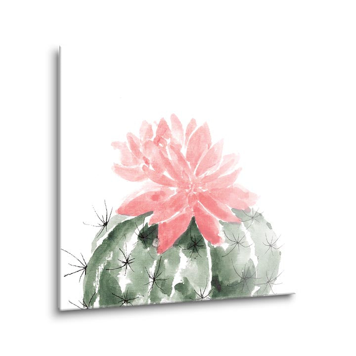 Prickly Bloom IV  | 12x12 | Glass Plaque