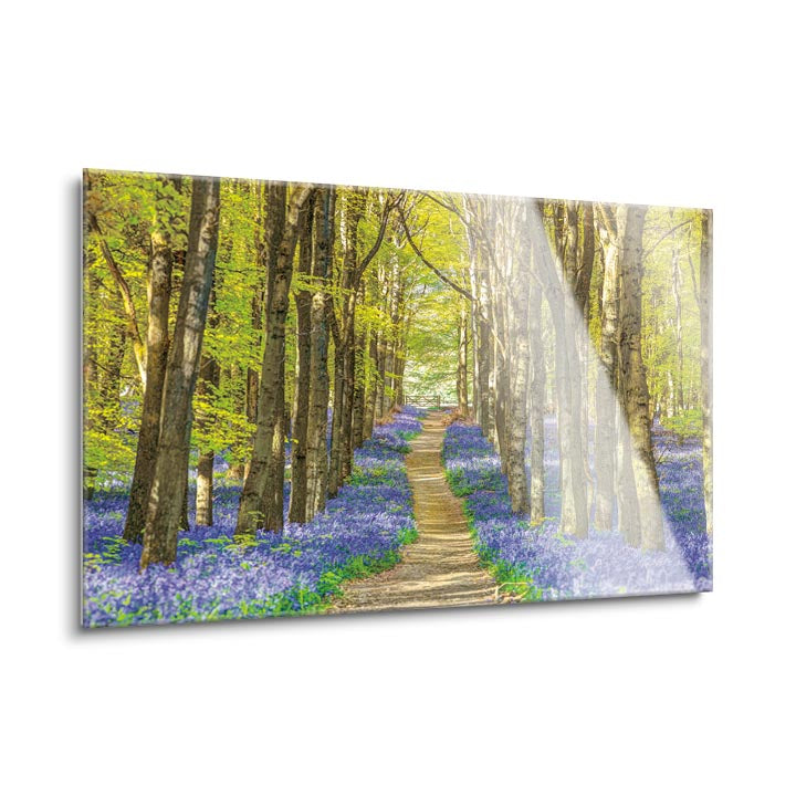 Forest Bluebells  | 24x36 | Glass Plaque